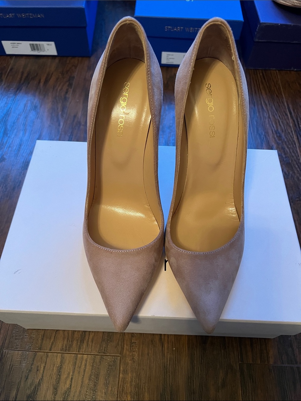 Sergio Rossi Scarpe Donna Royal Cipria New Secret 105 Suede Pumps.